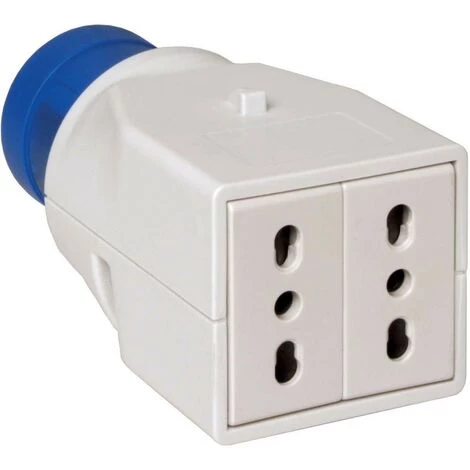 Adaptateur Schneider Industriel à Domestique 16A 2 Prises Bivalentes PKZA202 3 Adaptateur Schneider Industriel à Domestique 16A 2 Prises Bivalentes PKZA202