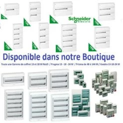Lot De 10 Boîtes D'encastrement étanche 2 Poste ø 67 Prof40mm IMT35000 Schneider 11 Lot De 10 Boîtes D'encastrement étanche 2 Poste ø 67 Prof40mm IMT35000 Schneider -SCHNEIDER Soldes 14871904 5