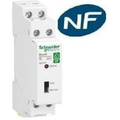 Relais Inverseur 24V/AC VMC Dsc- Gaz Resi9 Xp - Schneider R9PCR