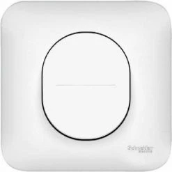 Lot De 10 Bouton Poussoir 10A à Fermeture +plaque Schneider Ovalis Blanc S260206