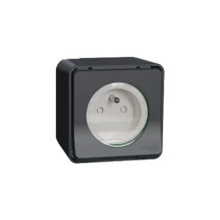 SCHNEIDER Mureva - Prise De Courant 2P+T - étanche Ip 55 -