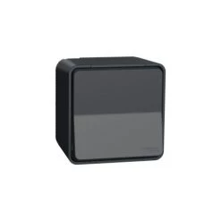 SCHNEIDER Mureva - Interrupteur à Bascule - étanche Ip 55 -