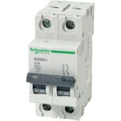 Disjoncteur Schneider 2 Pôles 16 A