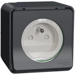 SCHNEIDER Mureva - Prise De Courant 2P+T NF - Gris - En Saillie - IK08 IP55 - MUR36030