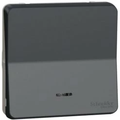 SCHNEIDER Mureva Styl - Va Et Vient Lumineux LED - Composable -IP55-IK08 -connex Auto-gris (MUR35025)