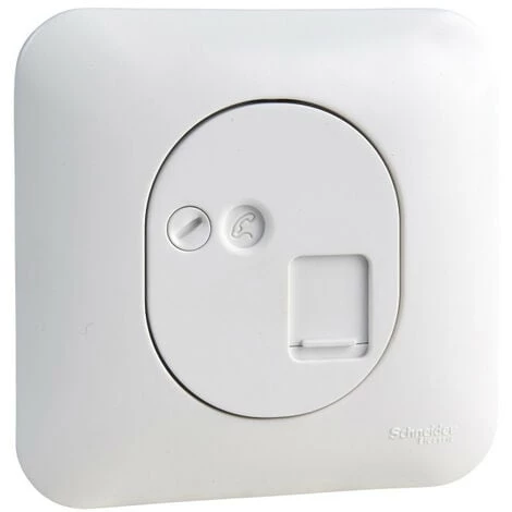 SCHNEIDER Ovalis - Prise RJ45 - Cat.6 UTP - Grade 1 - Téléphone/informatique (S260475) 3 SCHNEIDER Ovalis - Prise RJ45 - Cat.6 UTP - Grade 1 - Téléphone/informatique (S260475)