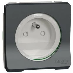 SCHNEIDER Mureva Styl - Prise De Courant 2P+T à Vis - Composable - IP55 - IK08 - Gris (MUR38030)