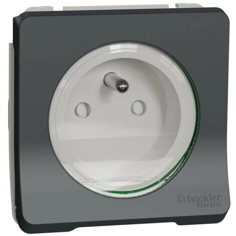 SCHNEIDER Mureva Styl - Prise De Courant 2P+T à Vis - Composable - IP55 - IK08 - Gris (MUR38030) 3 SCHNEIDER Mureva Styl - Prise De Courant 2P+T à Vis - Composable - IP55 - IK08 - Gris (MUR38030)