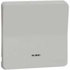 SCHNEIDER Mureva Styl - Enjoliveur Avec Lentille - IP55 - IK08 - Blanc (MUR39204)