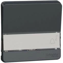 SCHNEIDER Mureva Styl - Enjoliveur Porte étiquette Lumineux - IP55 - IK08 - Gris (MUR34203)