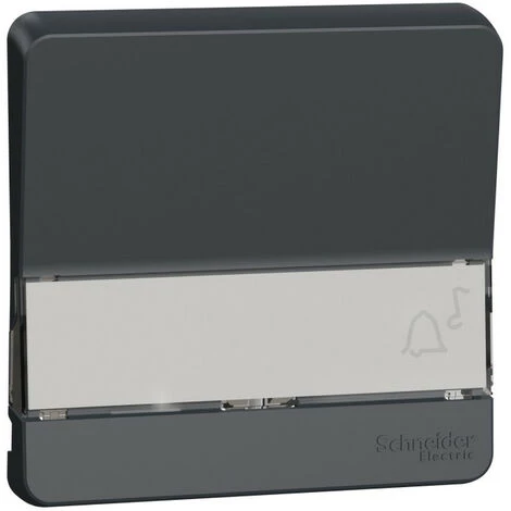 SCHNEIDER Mureva Styl - Enjoliveur Porte étiquette Lumineux - IP55 - IK08 - Gris (MUR34203) 3 SCHNEIDER Mureva Styl - Enjoliveur Porte étiquette Lumineux - IP55 - IK08 - Gris (MUR34203)