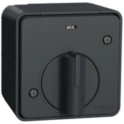 SCHNEIDER Mureva Styl - Interrupteur Temporisé LED - Saillie - IP55 - IK08 - Gris (MUR35067)