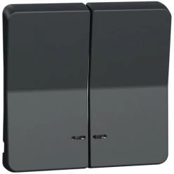 SCHNEIDER Mureva Styl - Enjoliveur 2 Demi Touche - IP55 - IK08 - Gris (MUR34205)