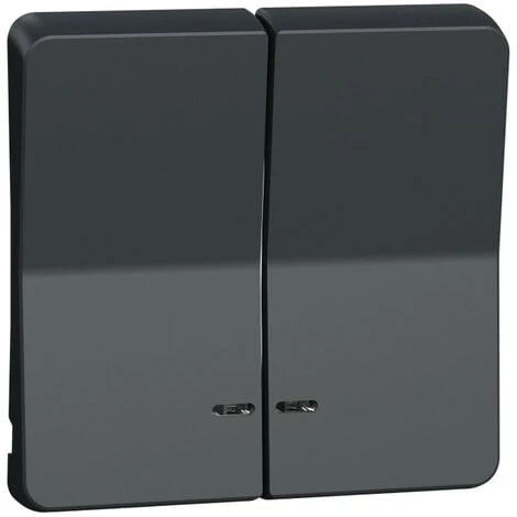 SCHNEIDER Mureva Styl - Enjoliveur 2 Demi Touche - IP55 - IK08 - Gris (MUR34205) 3 SCHNEIDER Mureva Styl - Enjoliveur 2 Demi Touche - IP55 - IK08 - Gris (MUR34205)