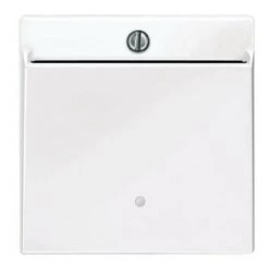 SCHNEIDER Merten M-Plan - Enjoliveur Interrupteur à Carte - Blanc Brillant (MTN315619)