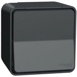 SCHNEIDER Mureva Styl - Interrupteur Bipolaire - Saillie - IP55 - IK08 Connex Auto - Gris (MUR35033)