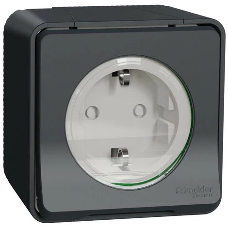 SCHNEIDER Mureva Styl - Prise De Courant 2P+T Schuko - Saillie - IP55 - IK08 - Gris (MUR36034) 3 SCHNEIDER Mureva Styl - Prise De Courant 2P+T Schuko - Saillie - IP55 - IK08 - Gris (MUR36034)