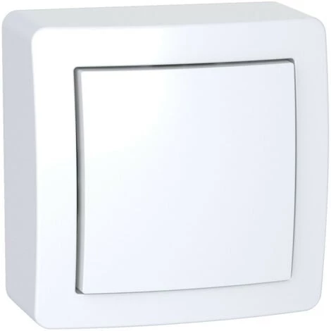 SCHNEIDER Alréa, Obturateur Avec Cadre Saillie, Blanc Polaire (ALB62420P) 3 SCHNEIDER Alréa, Obturateur Avec Cadre Saillie, Blanc Polaire (ALB62420P)