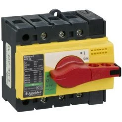 SCHNEIDER Interrupteursectionneur Interpact INS63 3P 63 A (28918)