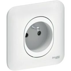 SCHNEIDER Ovalis - Prise De Courant - 2P+T - 16A - Connexions Vis - Avec Griffes (S265039)