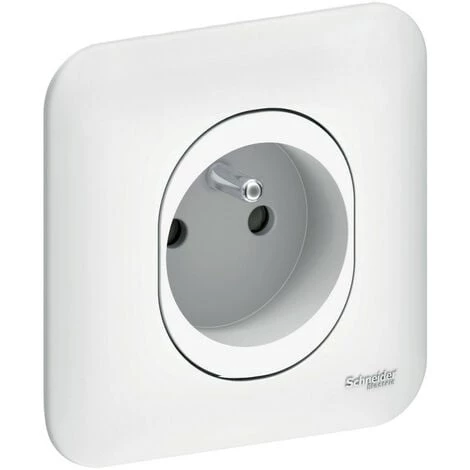 SCHNEIDER Ovalis - Prise De Courant - 2P+T - 16A - Connexions Vis - Avec Griffes (S265039) 3 SCHNEIDER Ovalis - Prise De Courant - 2P+T - 16A - Connexions Vis - Avec Griffes (S265039)