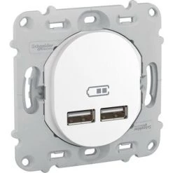 SCHNEIDER Ovalis - Double Chargeur Usb 2.1 A - Sans Plaque De Fintion - Blanc (S261407)