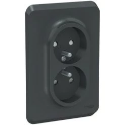 SCHNEIDER Unica - Prise Double 2P+T Pour Boîte 1P - FR - Vis - Anthracite - Méca + Plaque (NU406954)