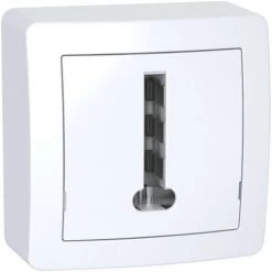 SCHNEIDER Alréa, Conjoncteur Téléphonique 8 Plots Avec Cadre Saillie, Blanc Polaire (ALB62366P)