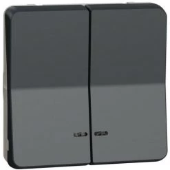 SCHNEIDER Mureva Styl - Dble Bouton Poussoir Lumineux LED - Composable - IP55 IK07 - Gris (MUR35228)