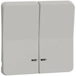 SCHNEIDER Mureva Styl - Enjoliveur 2 Demi Touche - IP55 - IK08 - Blanc (MUR39205)