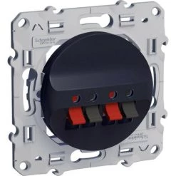 SCHNEIDER Odace, Prise Haut-parleurs Anthracite, 2 Sorties (S540488)