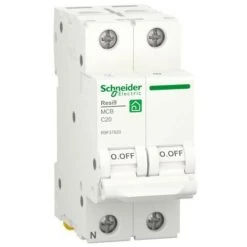 Disjoncteur Thermomagnétique Schneider 20A 1P+N 4,5KA C 2 Modules R9F37620