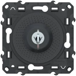 SCHNEIDER Odace - Interrupteur à Clé - Barillet Et Clé Inclus - Anthracite (S540286)