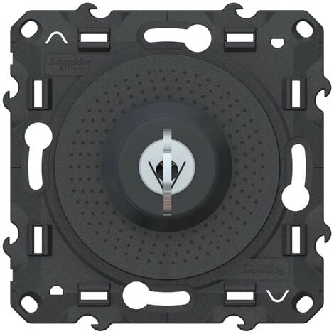 SCHNEIDER Odace - Interrupteur à Clé - Barillet Et Clé Inclus - Anthracite (S540286) 3 SCHNEIDER Odace - Interrupteur à Clé - Barillet Et Clé Inclus - Anthracite (S540286)