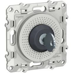 SCHNEIDER Odace - Interrupteur à Clé - Barillet Et Clé Inclus - Alu (S530286)