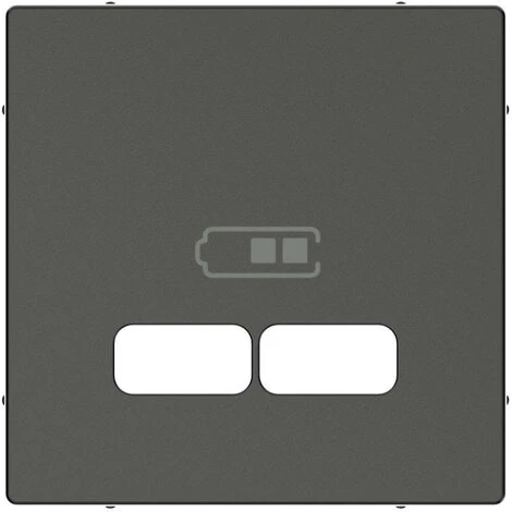 SCHNEIDER Système M - Enjoliveur Pour Prise Double USB 2.1A - Anthracite Mat (MTN4367-0414) 3 SCHNEIDER Système M - Enjoliveur Pour Prise Double USB 2.1A - Anthracite Mat (MTN4367-0414)
