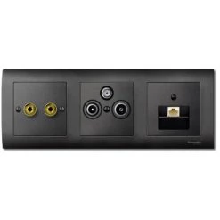 SCHNEIDER Plaque Centrale M-Plan Pour Prises D'antenne 2 Et 3 Sorties,anthracite (MTN297514)