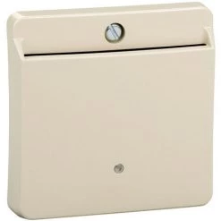 SCHNEIDER M-Plan - Interrupteur à Carte Hôtel - Sable Brillant (MTN315644)