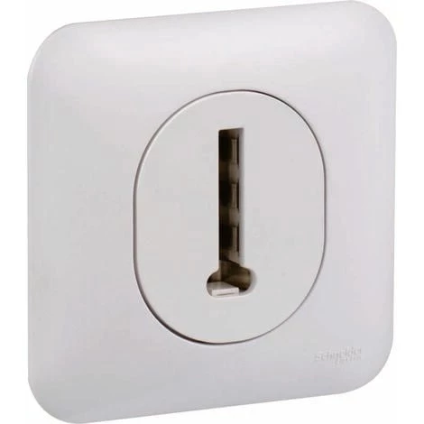 SCHNEIDER Ovalis - Prise Téléphone En T, 8 Contacts - Blanc 3 SCHNEIDER Ovalis - Prise Téléphone En T, 8 Contacts - Blanc