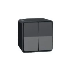 SCHNEIDER Mureva - Double Interrupteur à Bascule - étanche Ip 55 -