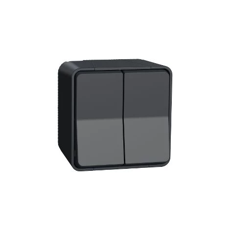 SCHNEIDER Mureva - Double Interrupteur à Bascule - étanche Ip 55 - 3 SCHNEIDER Mureva - Double Interrupteur à Bascule - étanche Ip 55 -