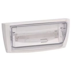 Schneider OVA58250 Bloc LED Lsc Evac 48VDC 2 - Blanc