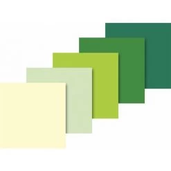 Baier & Schneider Papier De Soie, 50 cm X 70 cm, Vert/5 couleurs Assorties 10 Archet