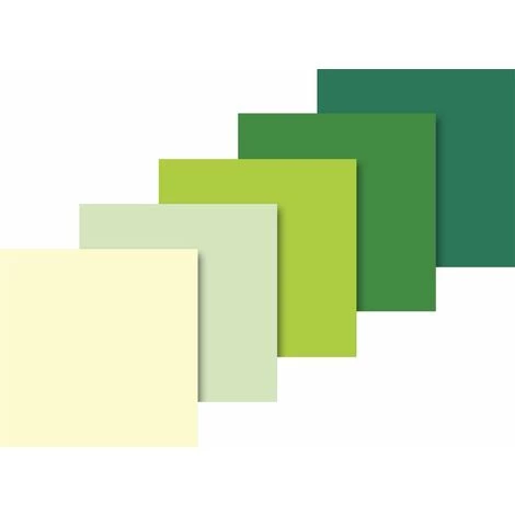 Baier & Schneider Papier De Soie, 50 cm X 70 cm, Vert/5 couleurs Assorties 10 Archet 3 Baier & Schneider Papier De Soie, 50 cm X 70 cm, Vert/5 couleurs Assorties 10 Archet