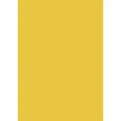 Baier & Schneider Papier De Soie 50 x 70 cm, Jaune, 1 Pkg De 12,7 cm, Archet, Lot De 10