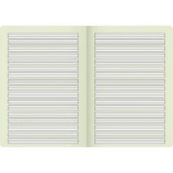 SCHNEIDER Fontaine 104470202 Cahier A4 Vivendi (16 feuilles, Ligné, Linéature 2, Classe 2) -SCHNEIDER Soldes 51503283 3