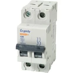 Disjoncteur Schneider 2 Pôles 20A