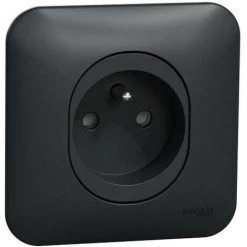 SCHNEIDER Ovalis - Prise De Courant - 2P+T -16A Avec Plaque De Finition -Anthracite (S460059)