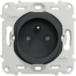 SCHNEIDER Ovalis - Prise De Courant - 2P+T - 16A - Sans Plaque De Finition -Anthracite (S461059)