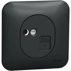 SCHNEIDER Ovalis - Prise RJ45 - Cat.5e UTP - Grade 1 - Téléphone Avec Plaque -Anthracite (S460471)